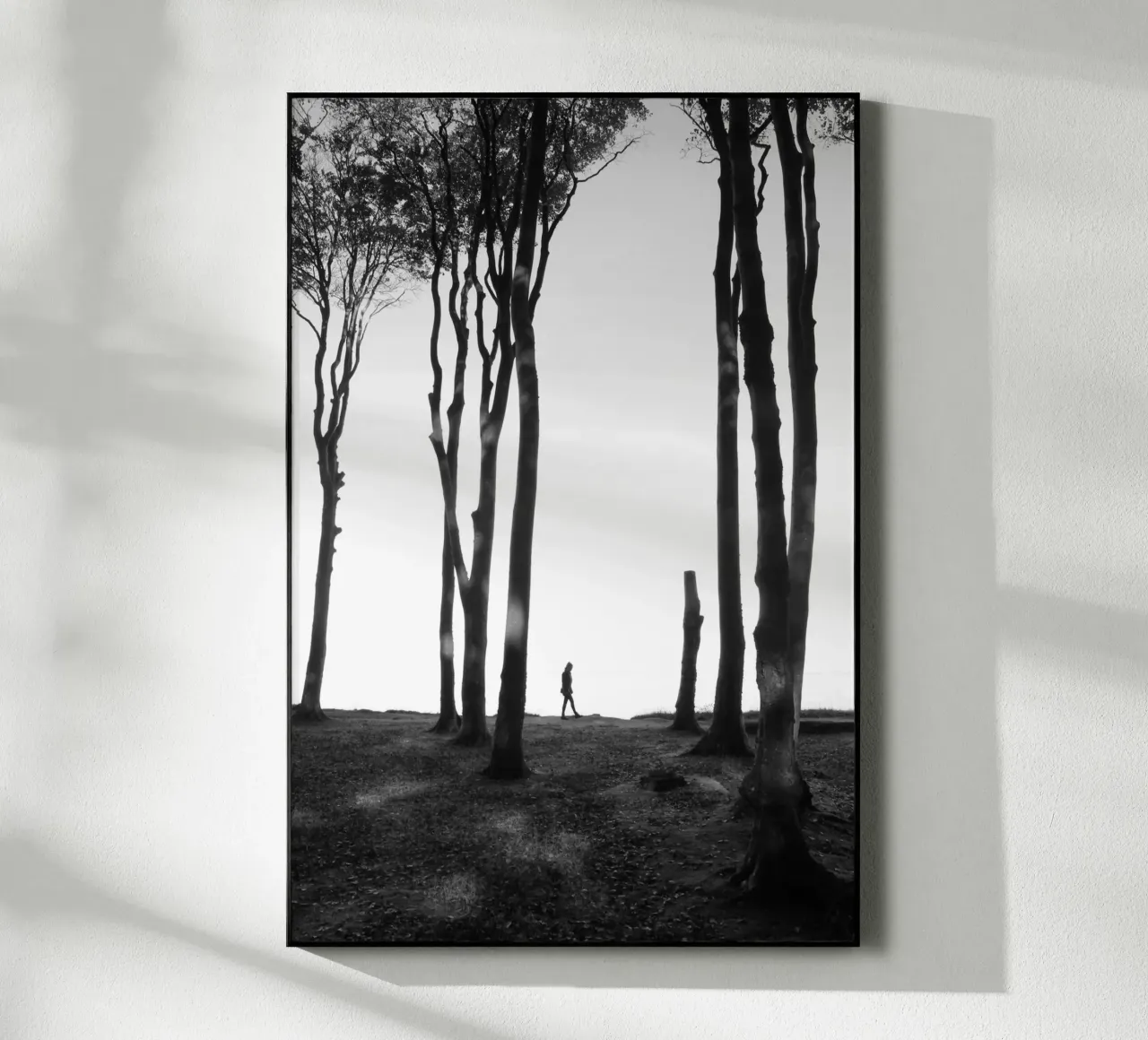Foresta infestata 01 plexiglass da eyes & tries