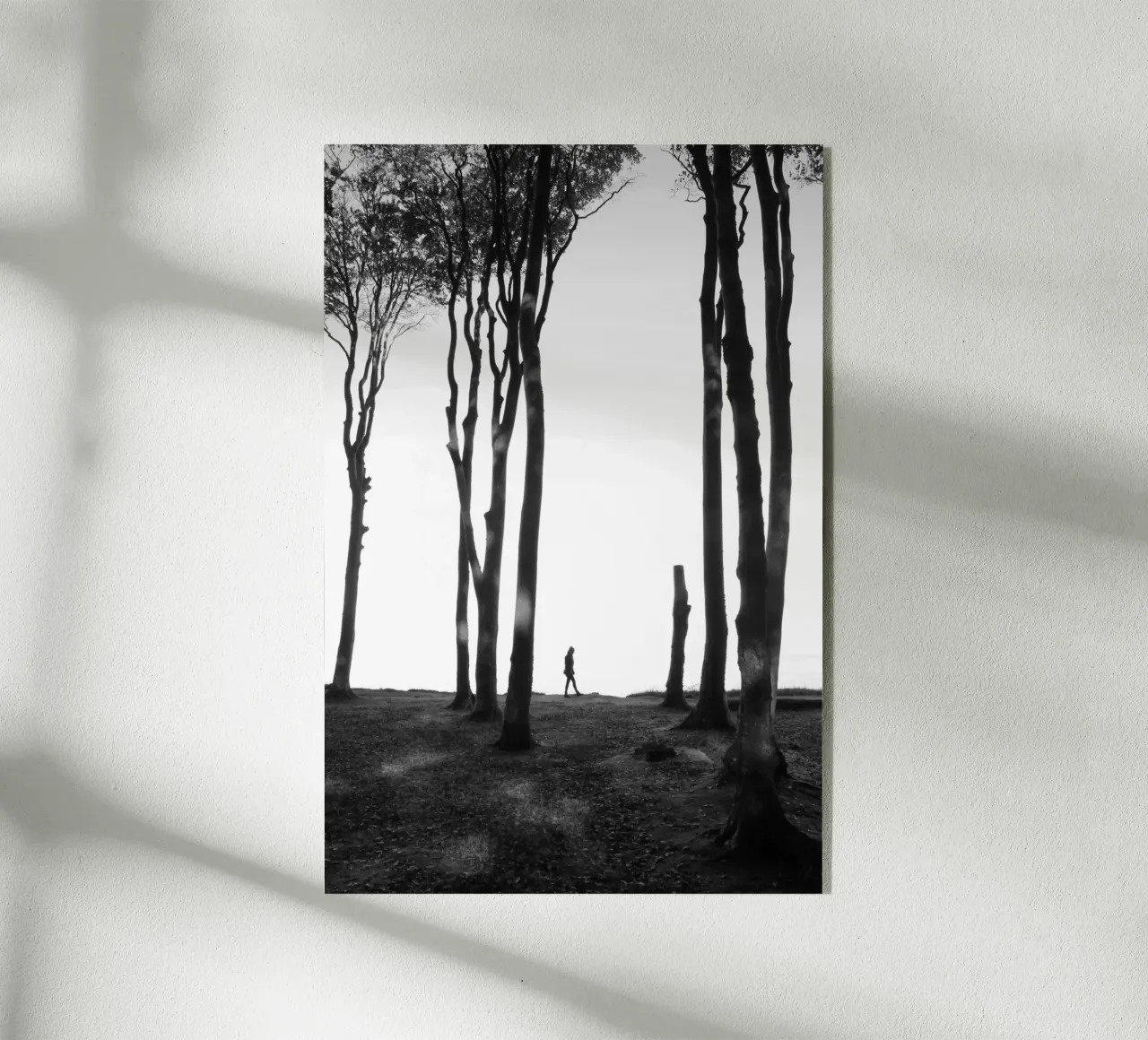 Foresta infestata 01 plexiglass da eyes & tries