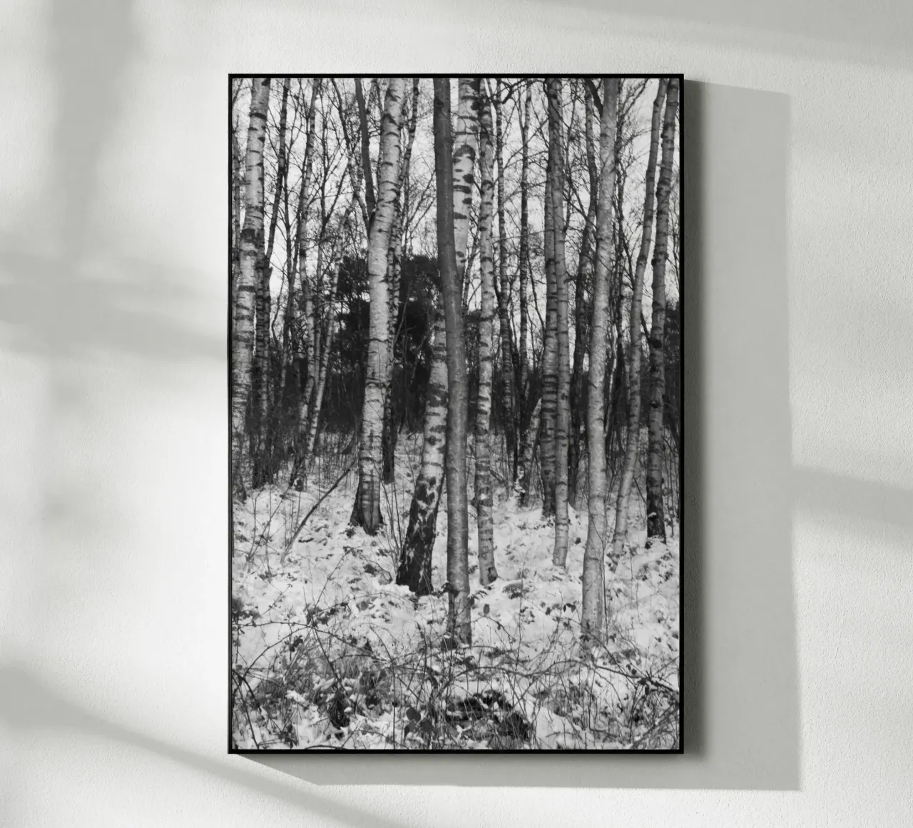 Wald 01 plexiglass da eyes & tries