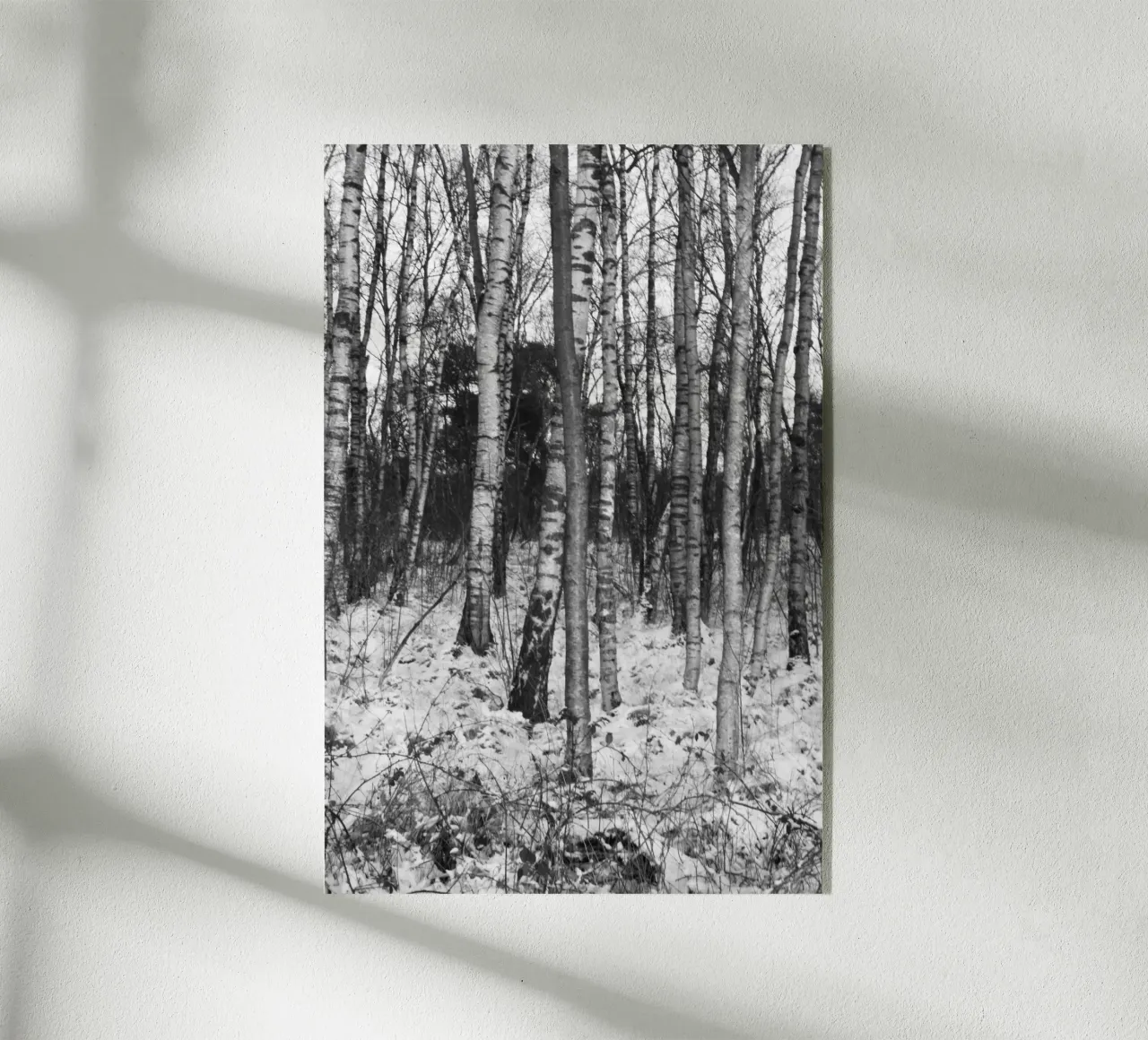 Wald 01 plexiglass da eyes & tries