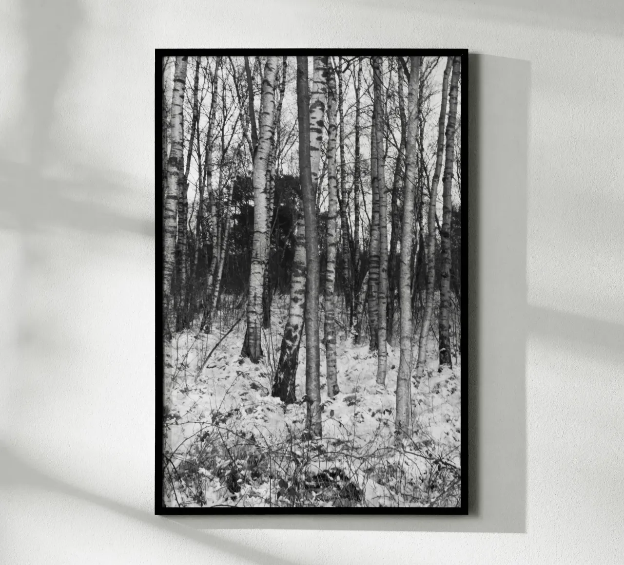 Wald 01 poster da eyes & tries