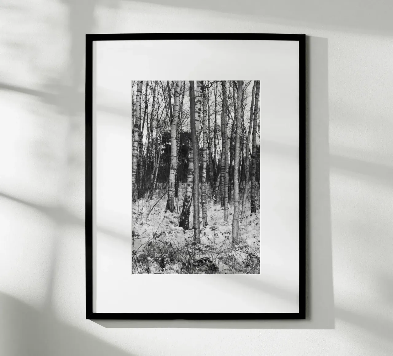 Wald 01 poster da eyes & tries