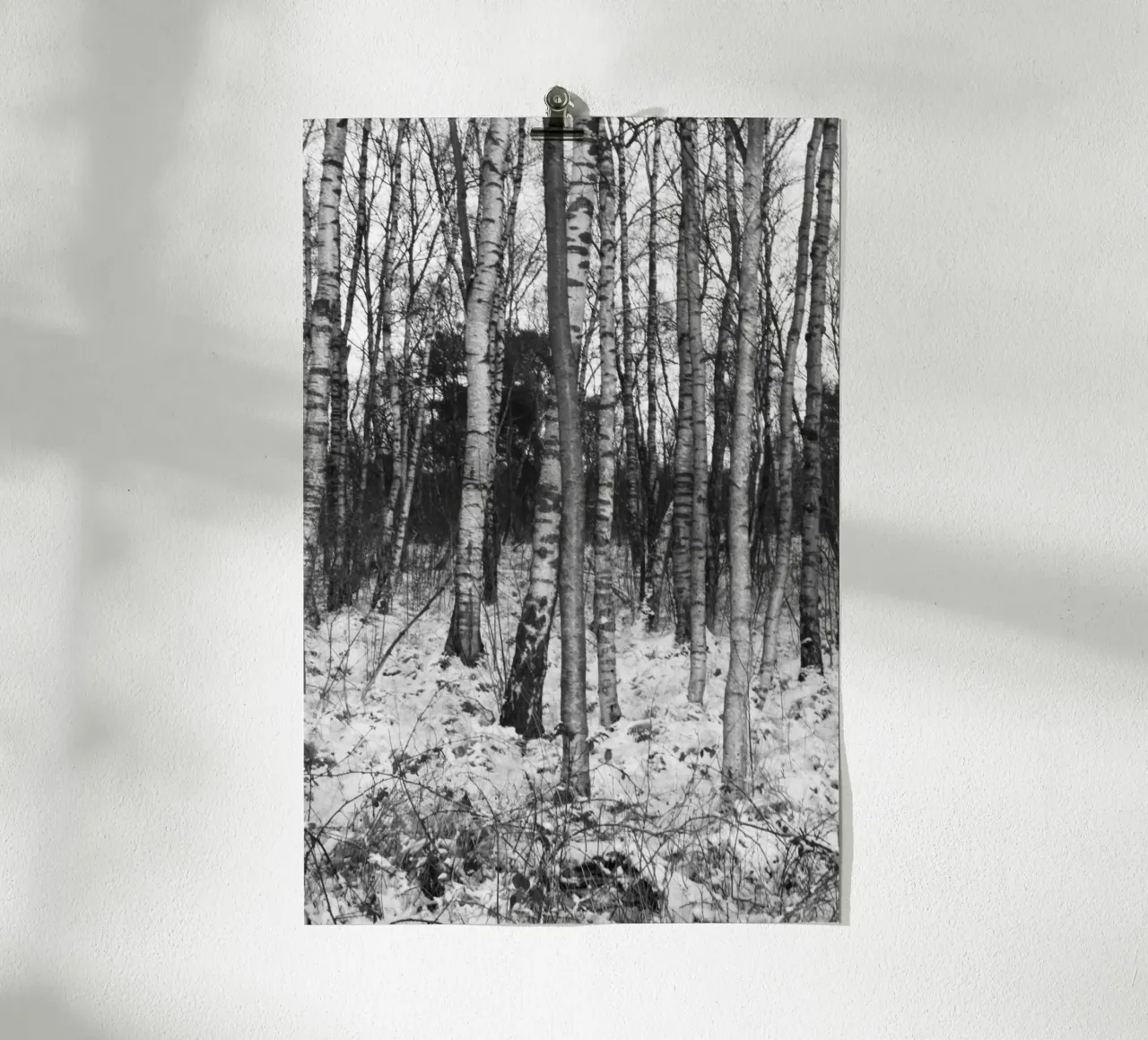 Wald 01 poster da eyes & tries