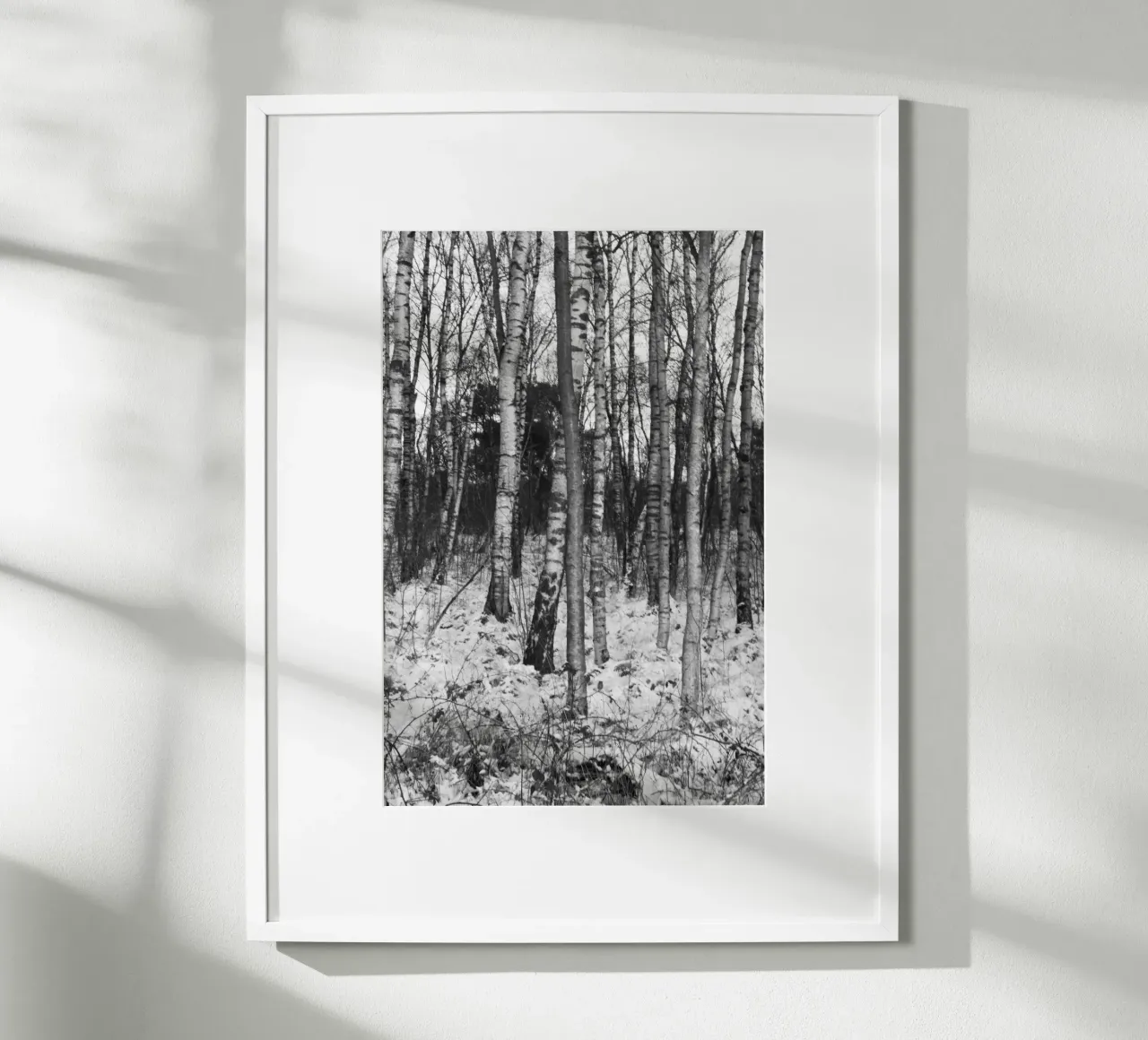 Wald 01 poster da eyes & tries