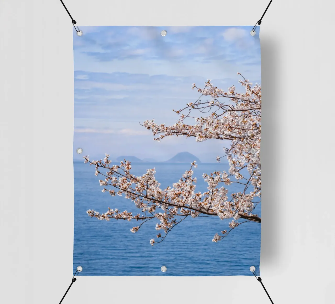 I fiori di ciliegio dell'oceano in Giappone telo in pvc da Marcel Bisig