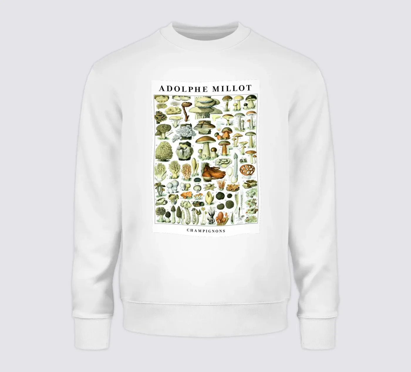 Funghi felpa da Rob Lewis