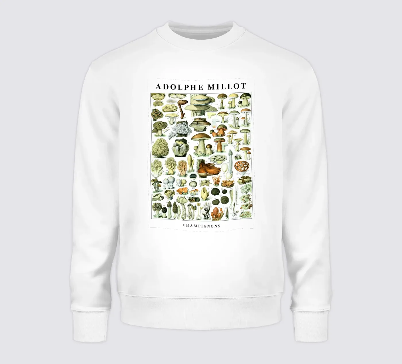 Funghi felpa da Rob Lewis