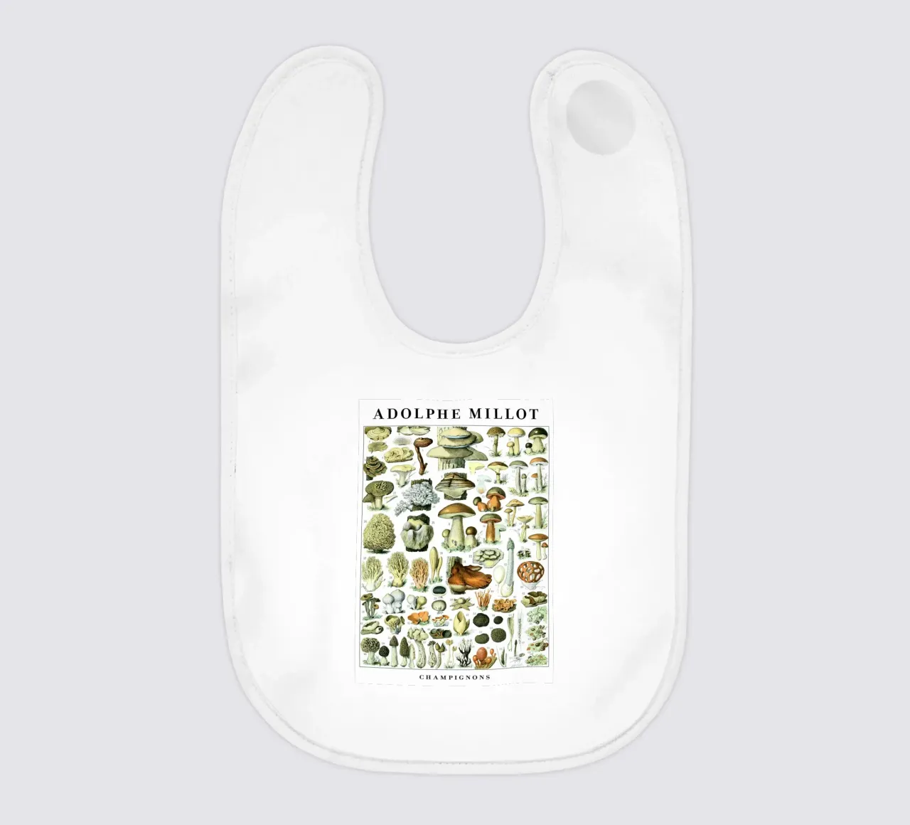 Funghi bavaglino da Rob Lewis