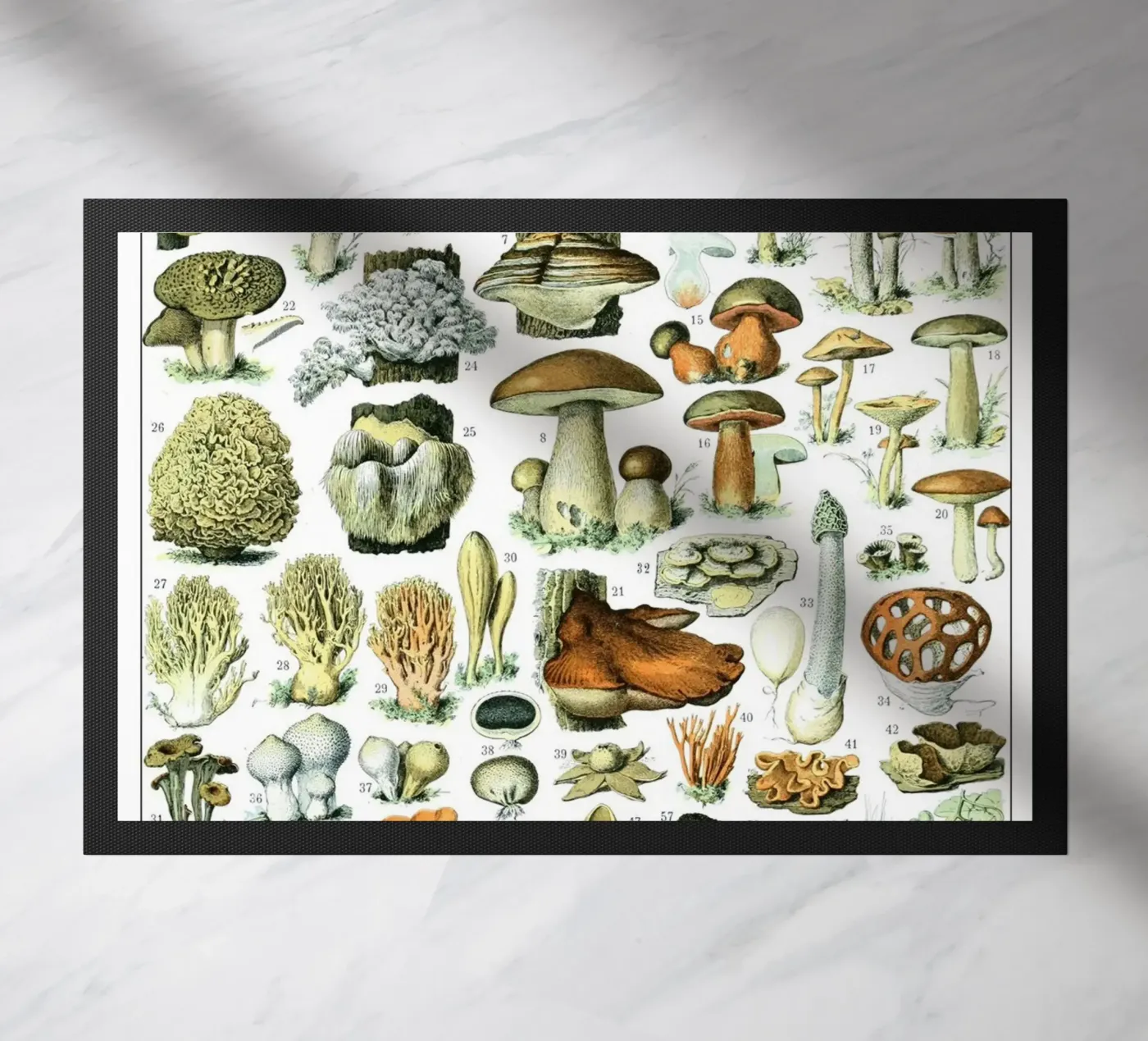 Funghi zerbino da Rob Lewis