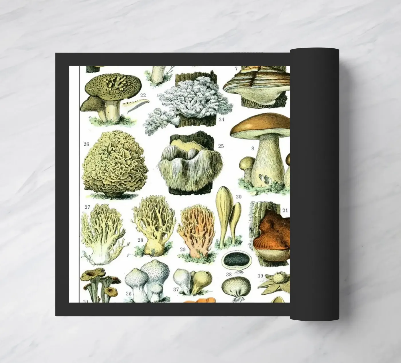 Champignons deurmat van Rob Lewis