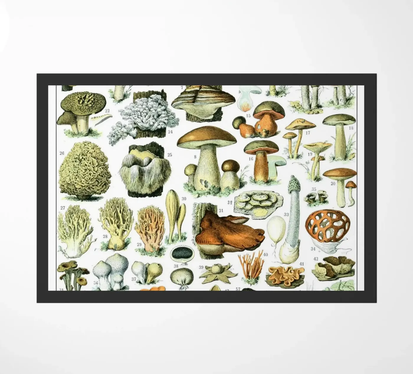 Champignons deurmat van Rob Lewis