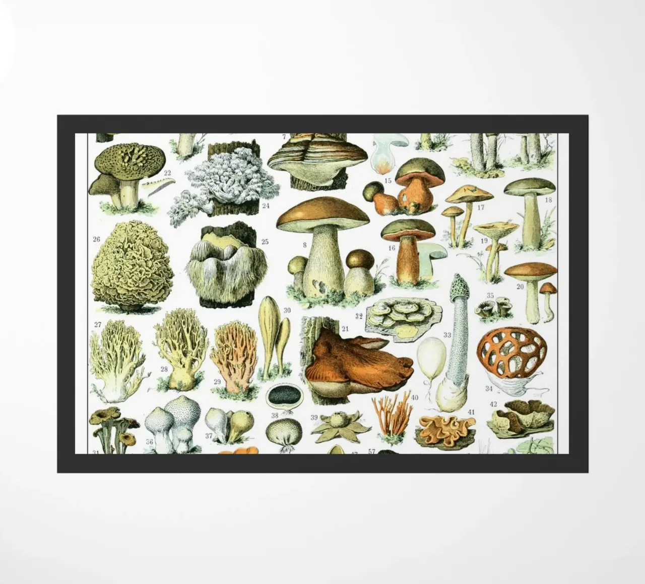 Funghi zerbino da Rob Lewis