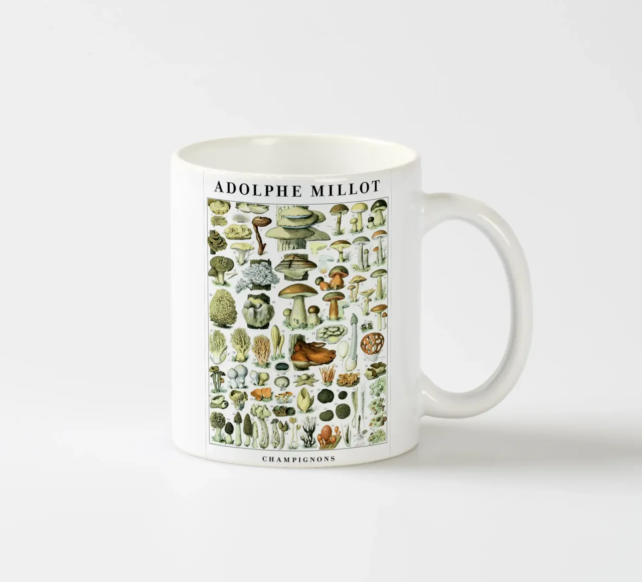 Mushrooms ceramic mug by Rob Lewis