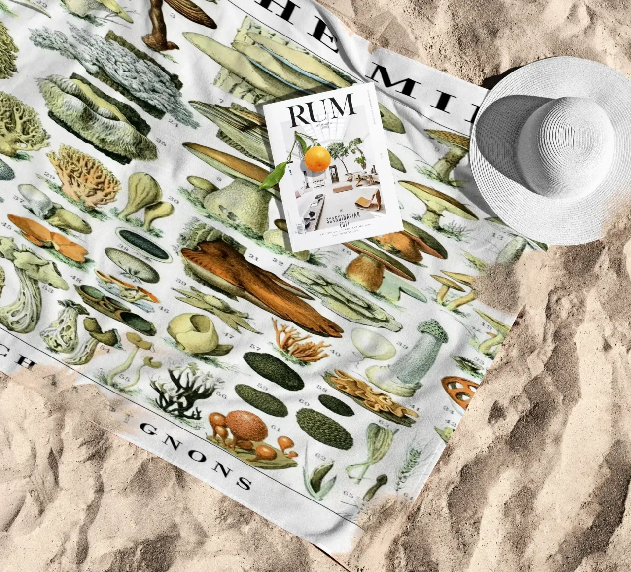 Funghi telo mare da Rob Lewis