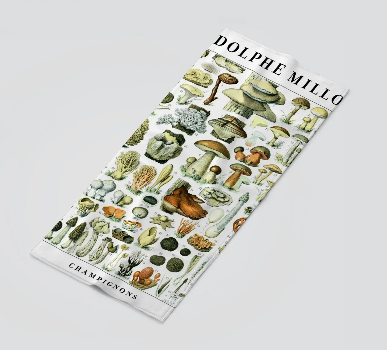 Funghi telo mare da Rob Lewis