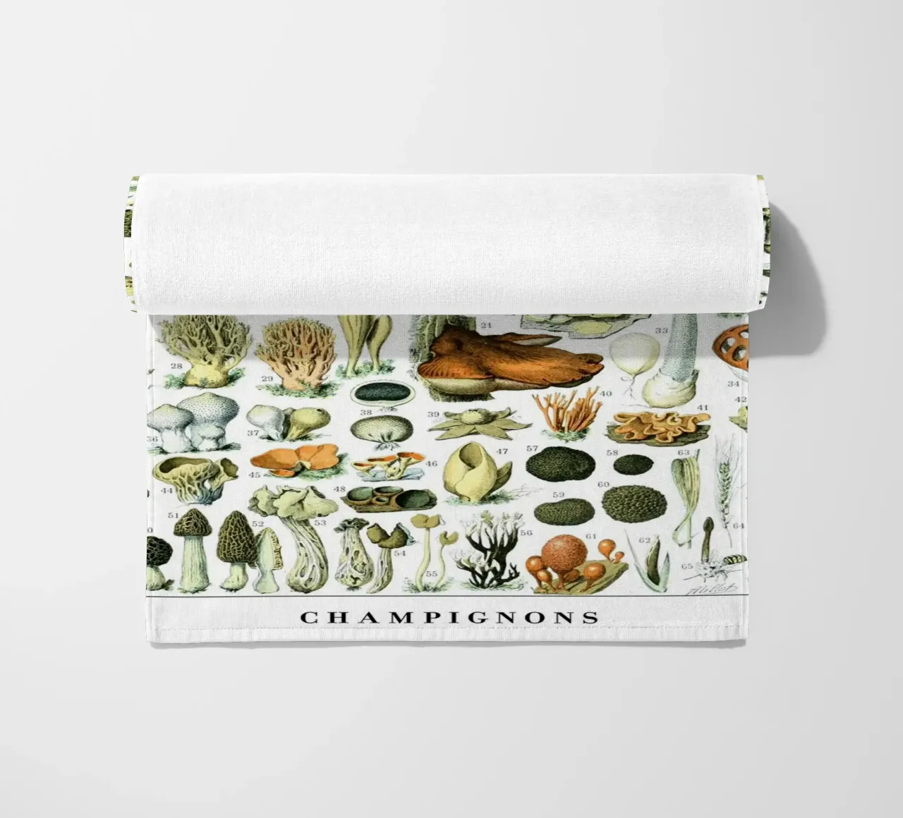 Funghi telo mare da Rob Lewis