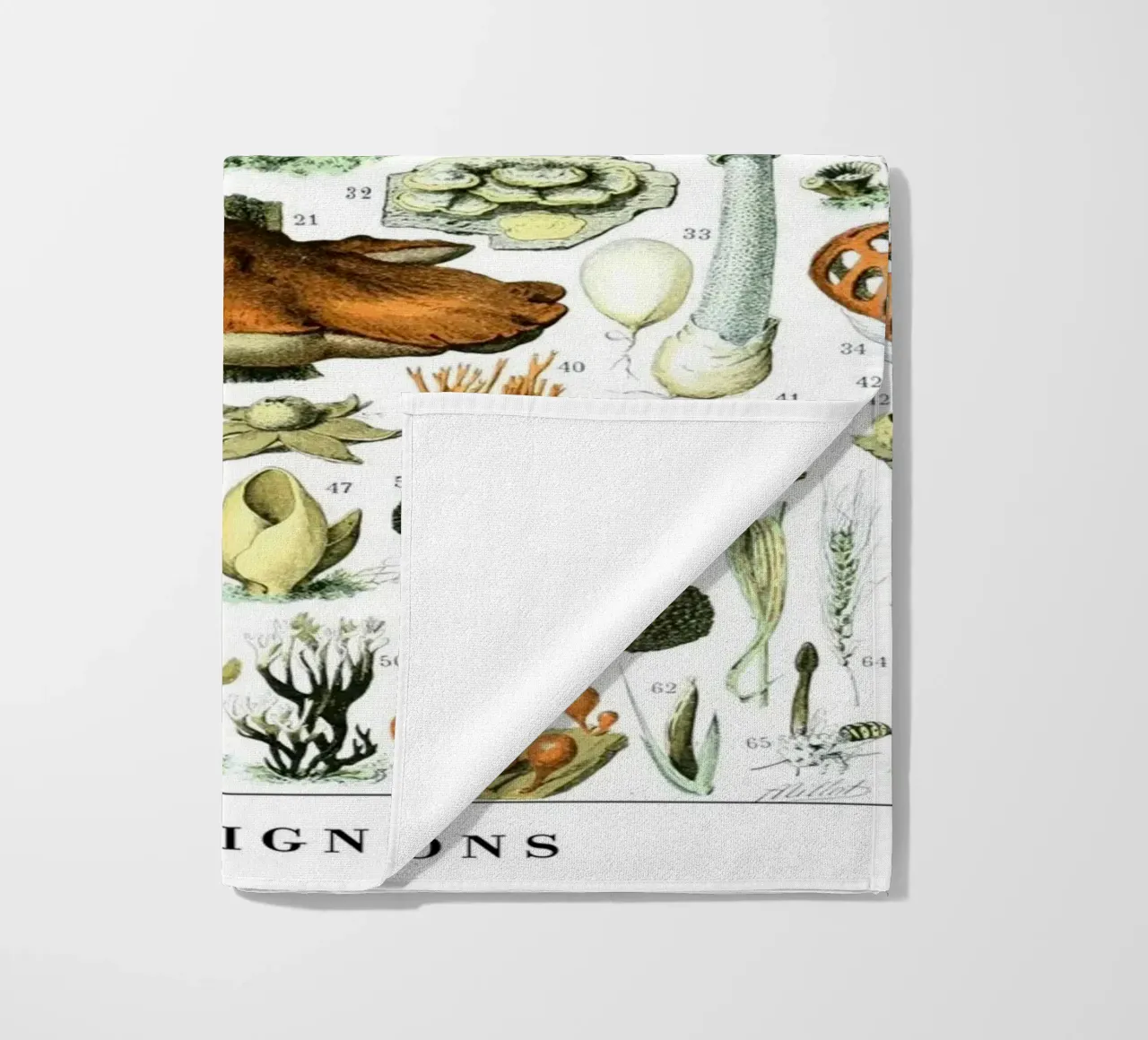 Funghi telo mare da Rob Lewis