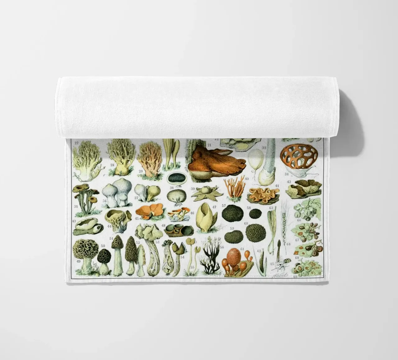 Funghi telo mare da Rob Lewis