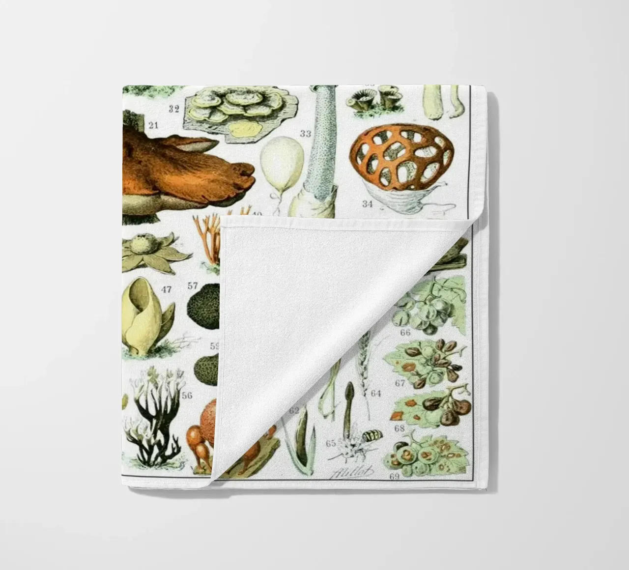 Funghi telo mare da Rob Lewis