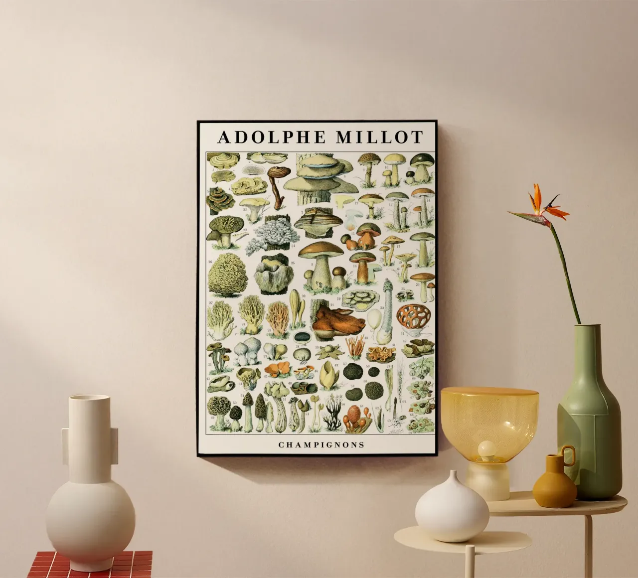 Mushrooms acrylic glass by Rob Lewis