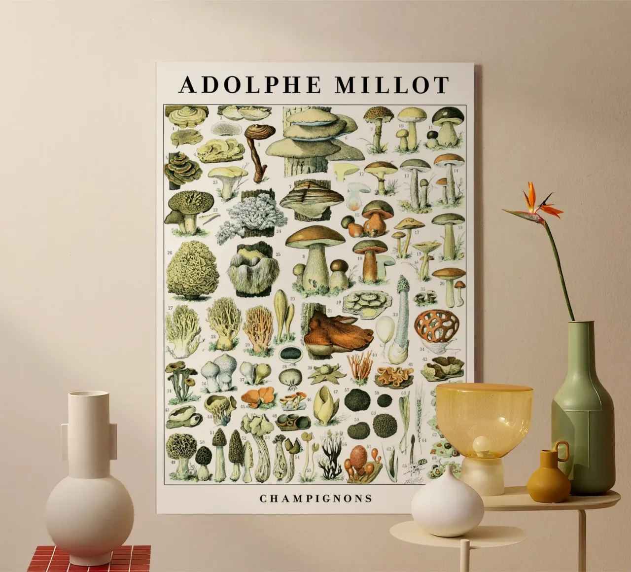 Mushrooms acrylic glass by Rob Lewis