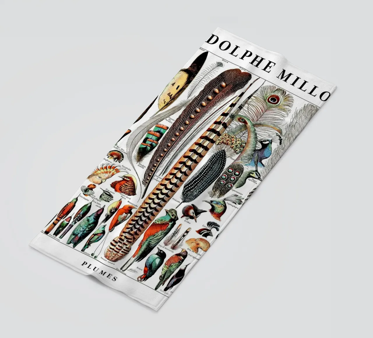 Piume telo mare da Rob Lewis