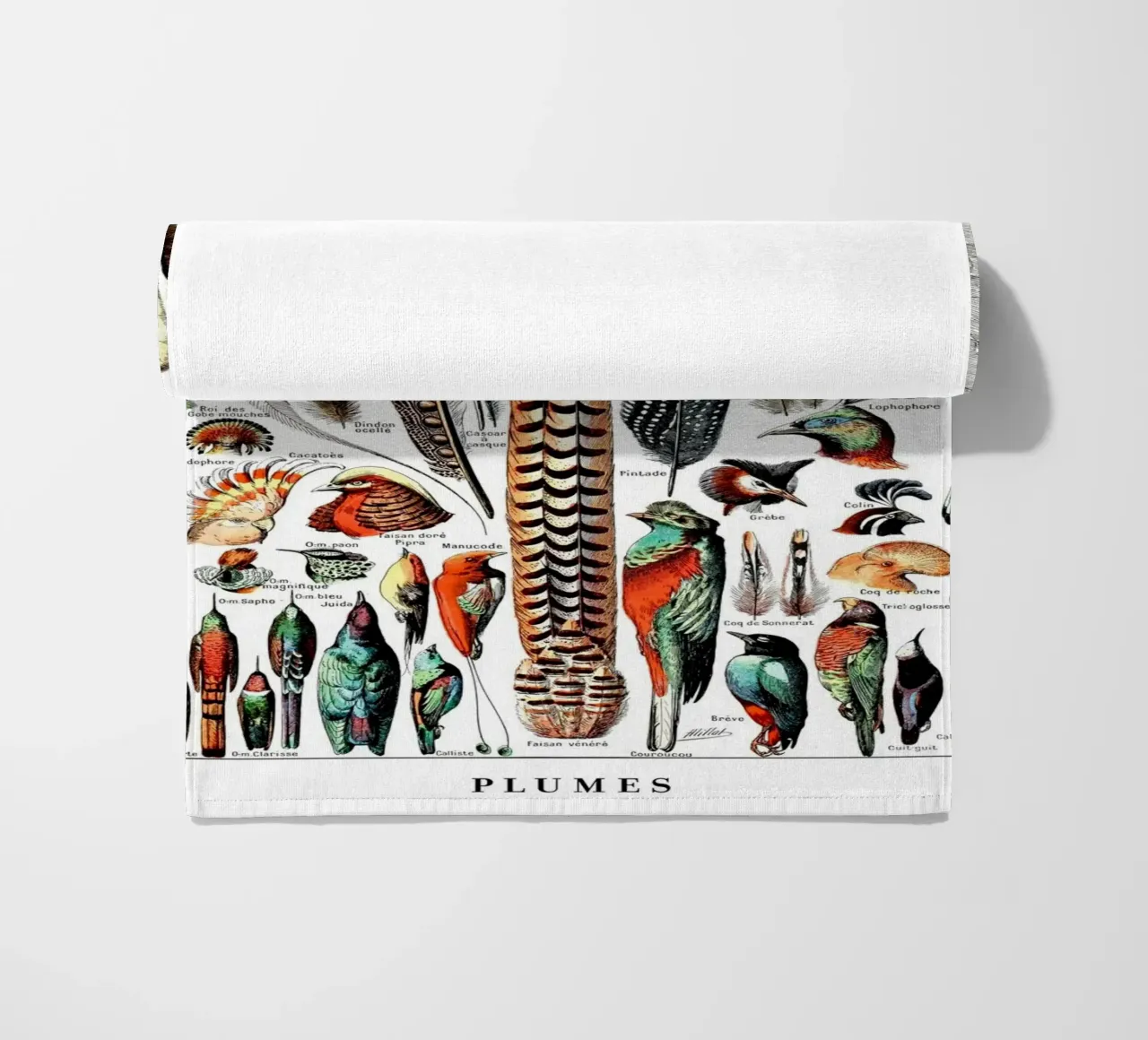 Piume telo mare da Rob Lewis