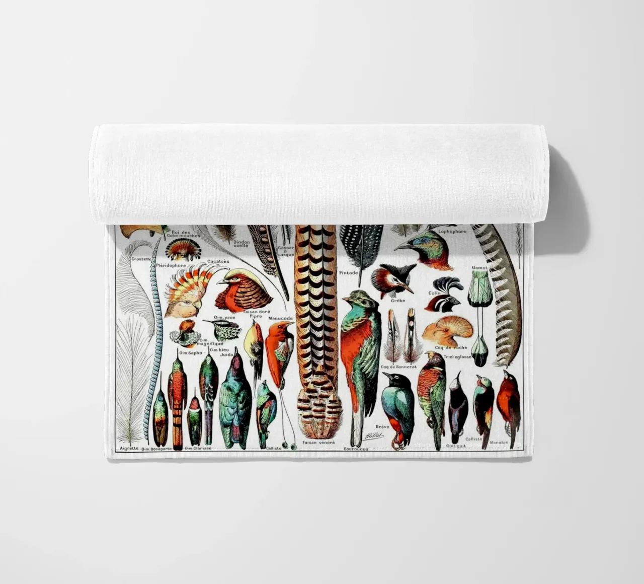 Piume telo mare da Rob Lewis