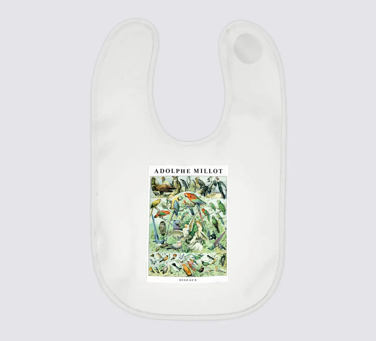 Uccelli bavaglino da Rob Lewis