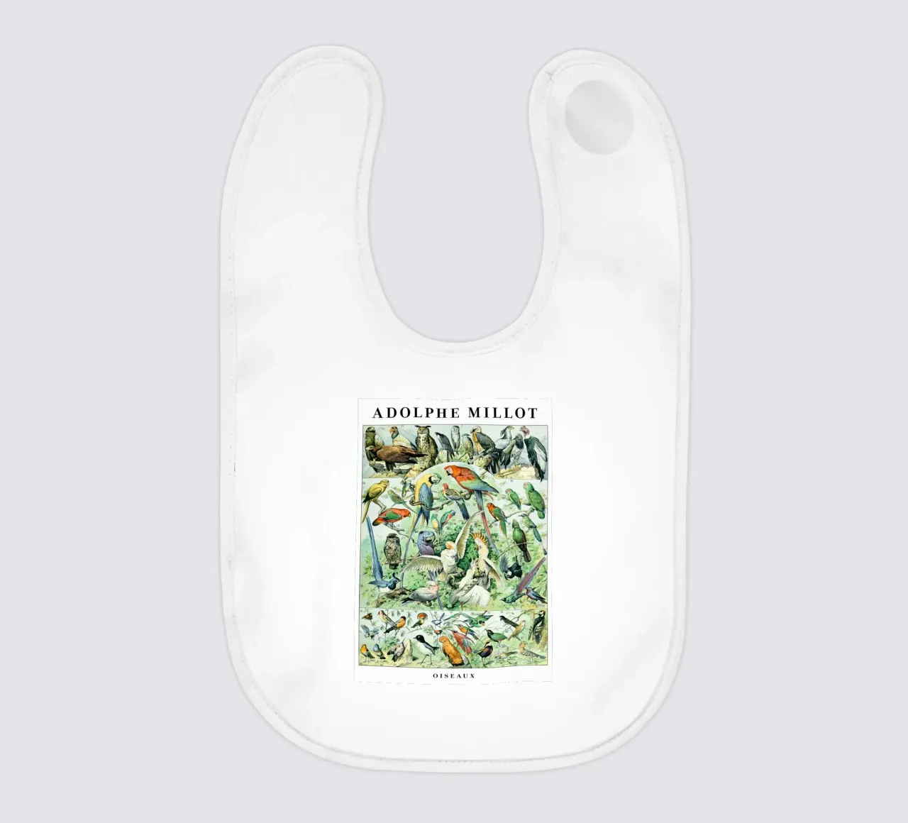 Uccelli bavaglino da Rob Lewis