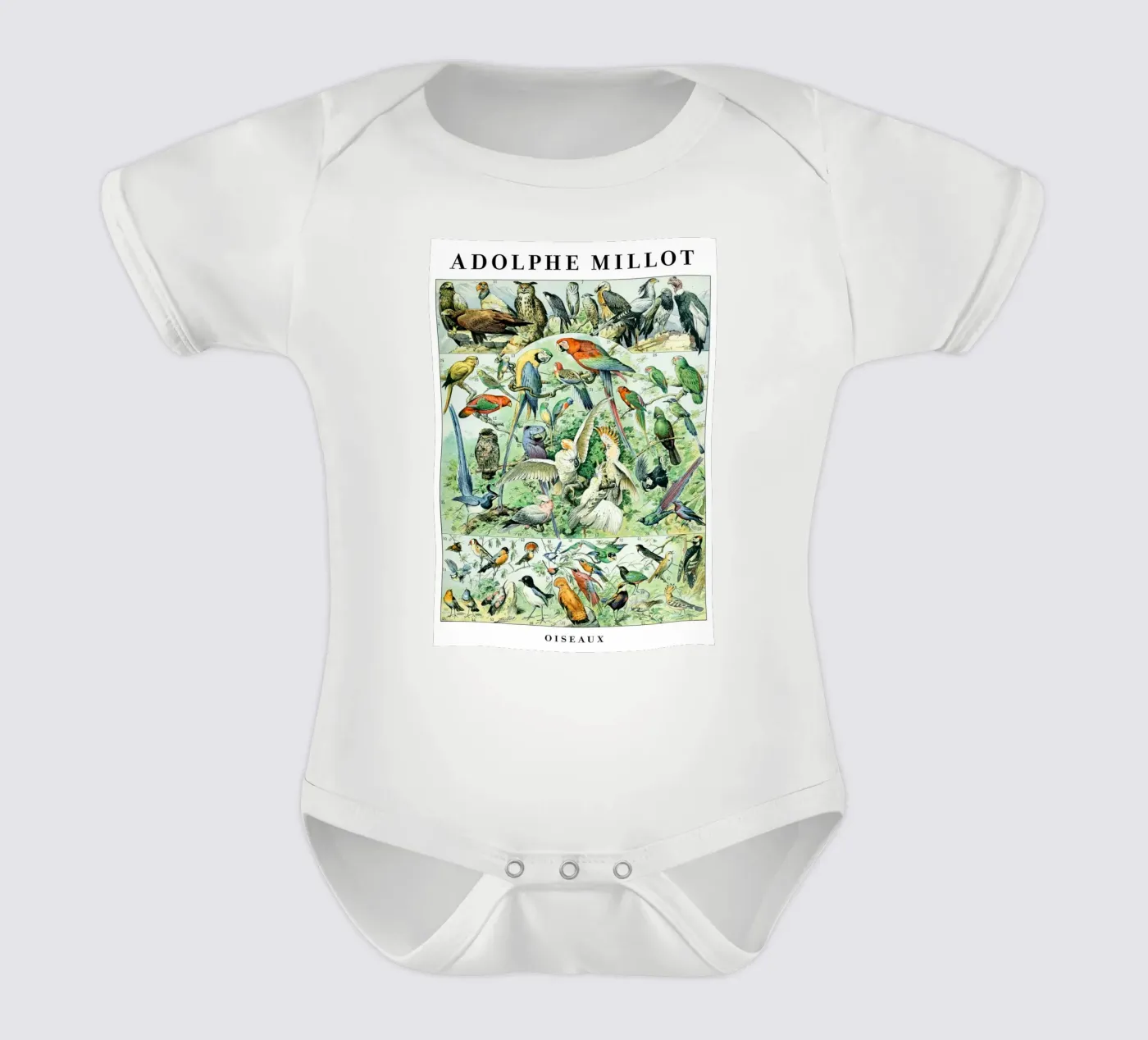 Oiseaux body bébé de Rob Lewis