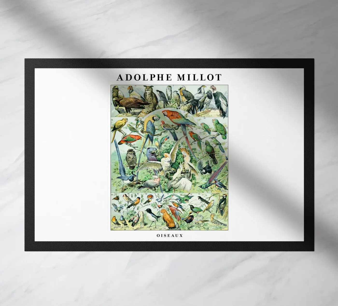 Birds doormat by Rob Lewis