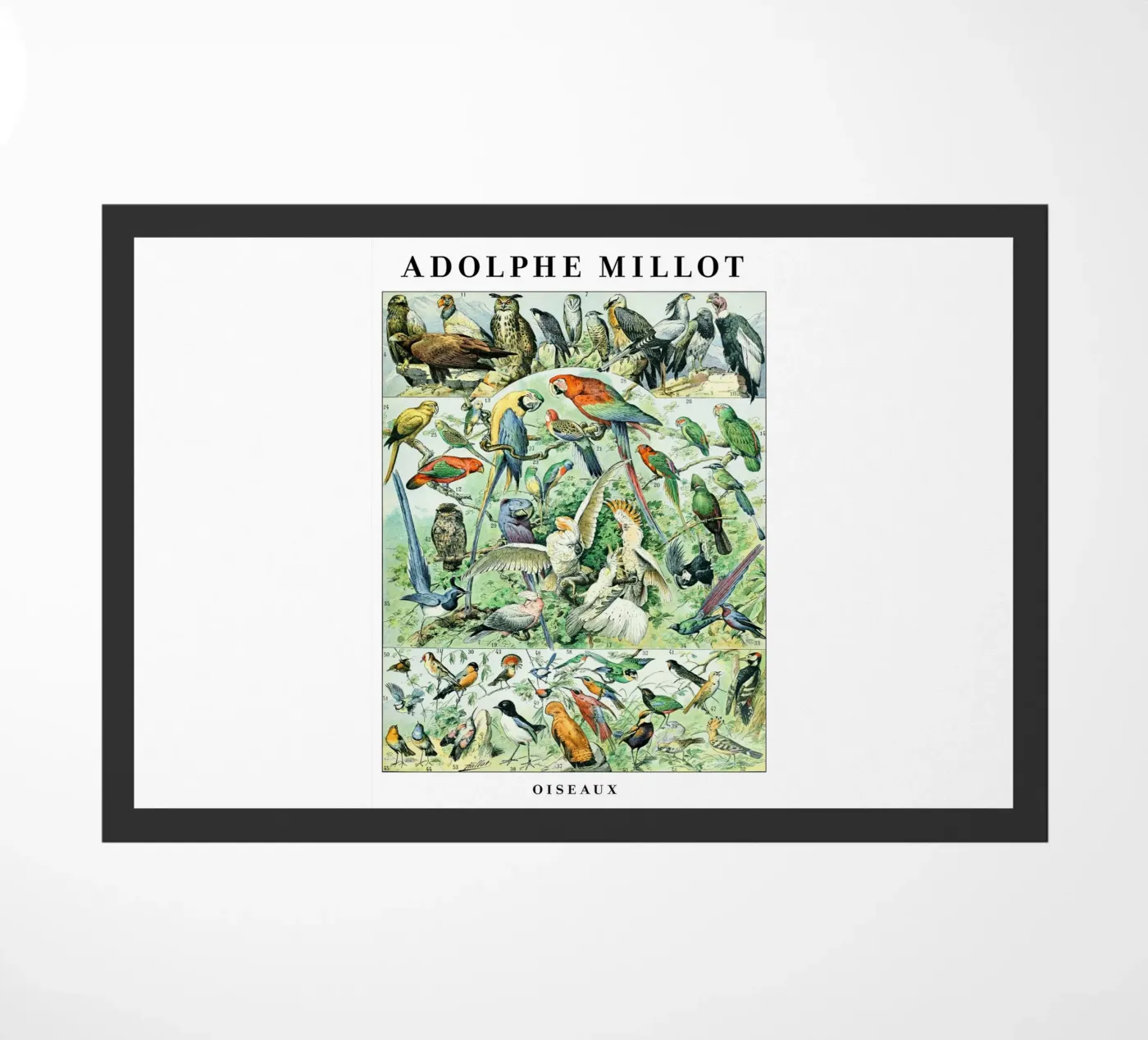 Birds doormat by Rob Lewis