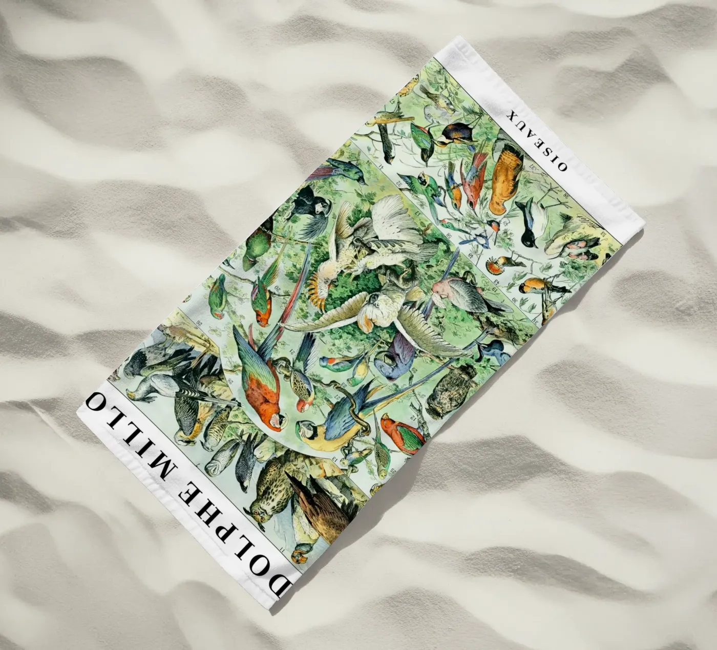 Uccelli telo mare da Rob Lewis