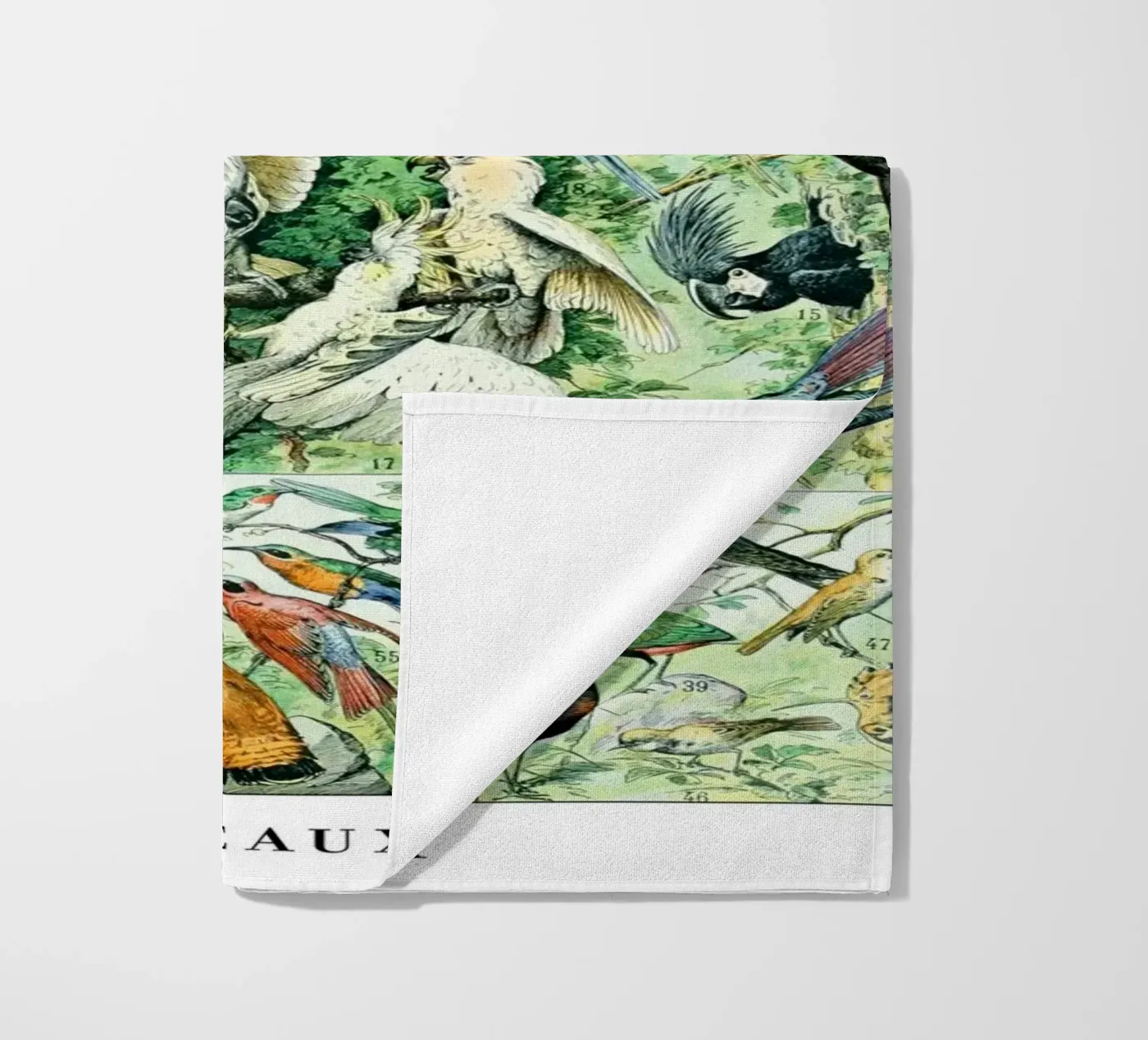 Uccelli telo mare da Rob Lewis