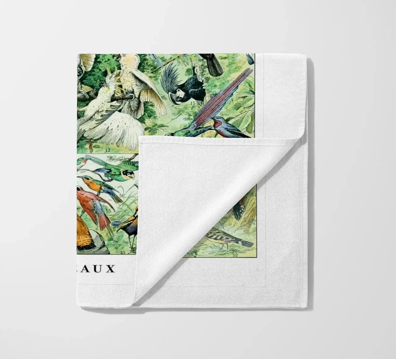 Uccelli telo mare da Rob Lewis