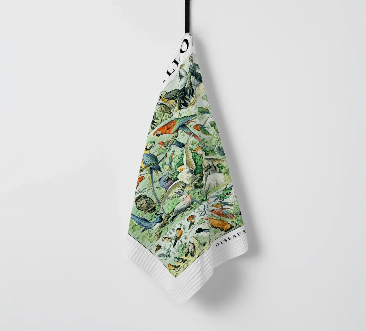 Oiseaux torchon de Rob Lewis