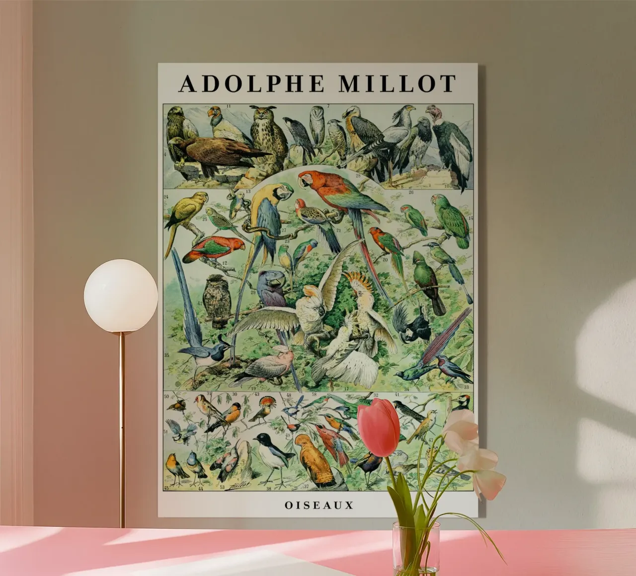 Uccelli plexiglass da Rob Lewis