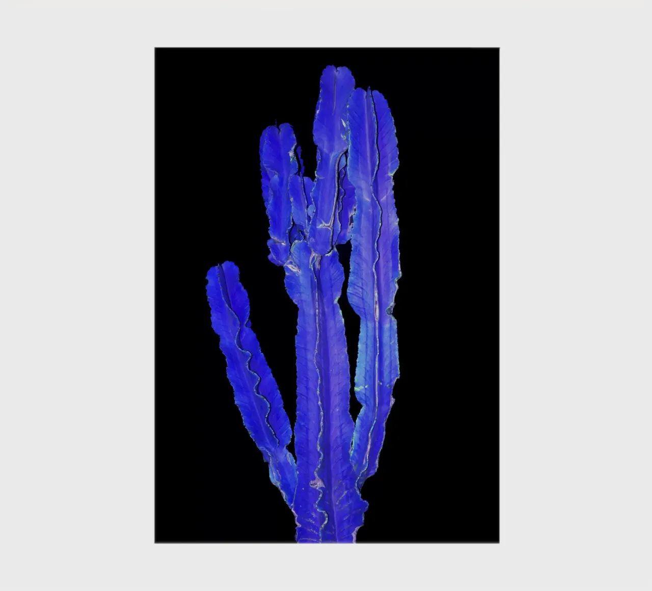 Cactus 1 notebook by rafael campezato