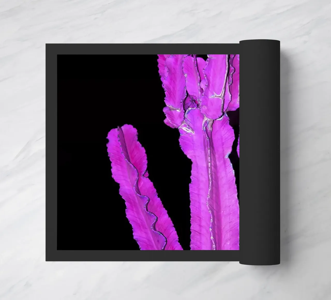 Cactus 2 doormat by rafael campezato