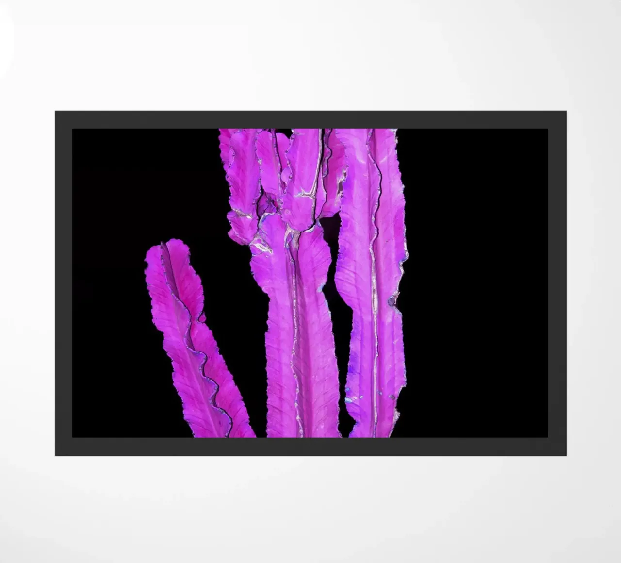 Cactus 2 doormat by rafael campezato