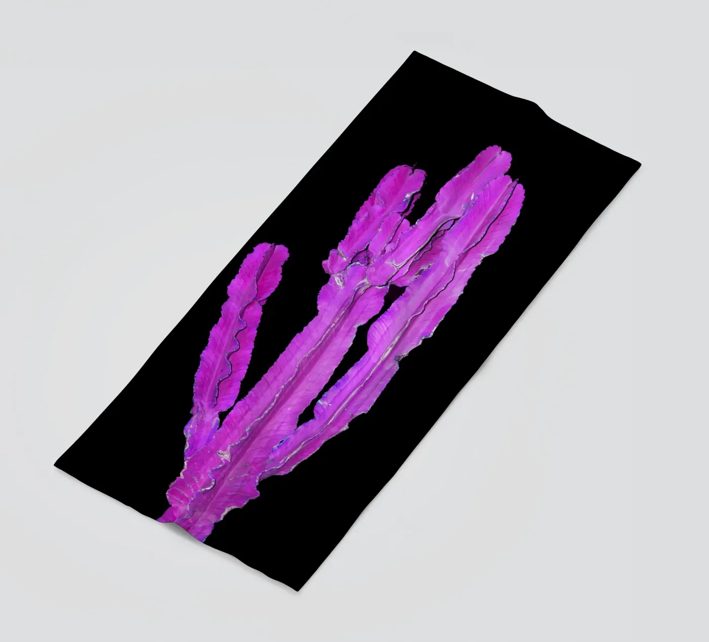 Cactus 2 strandhanddoek van rafael campezato