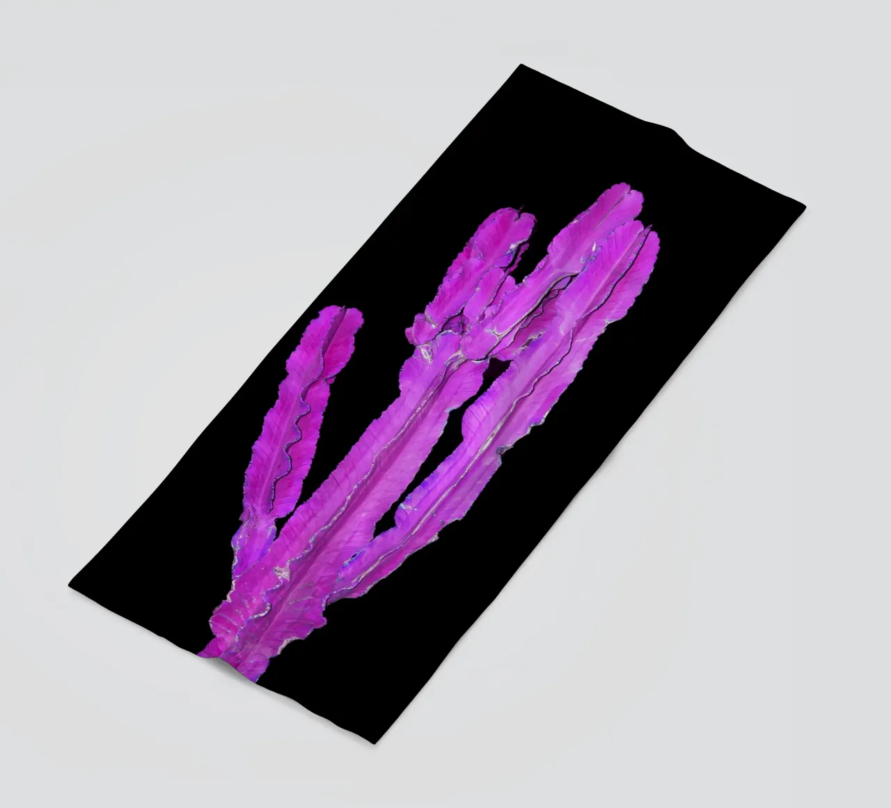 Cactus 2 telo mare da rafael campezato