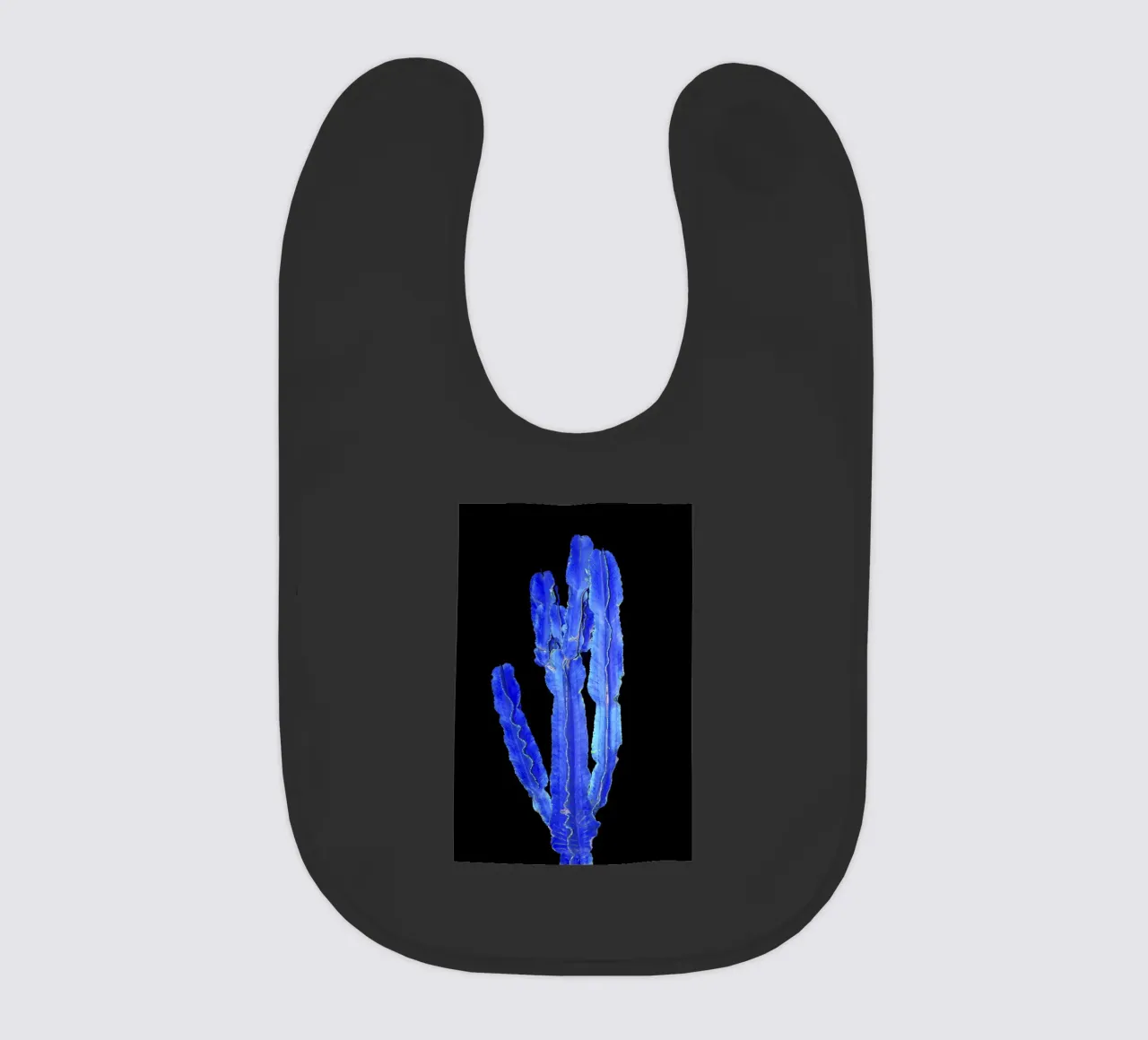 Cactus 3 bavaglino da rafael campezato