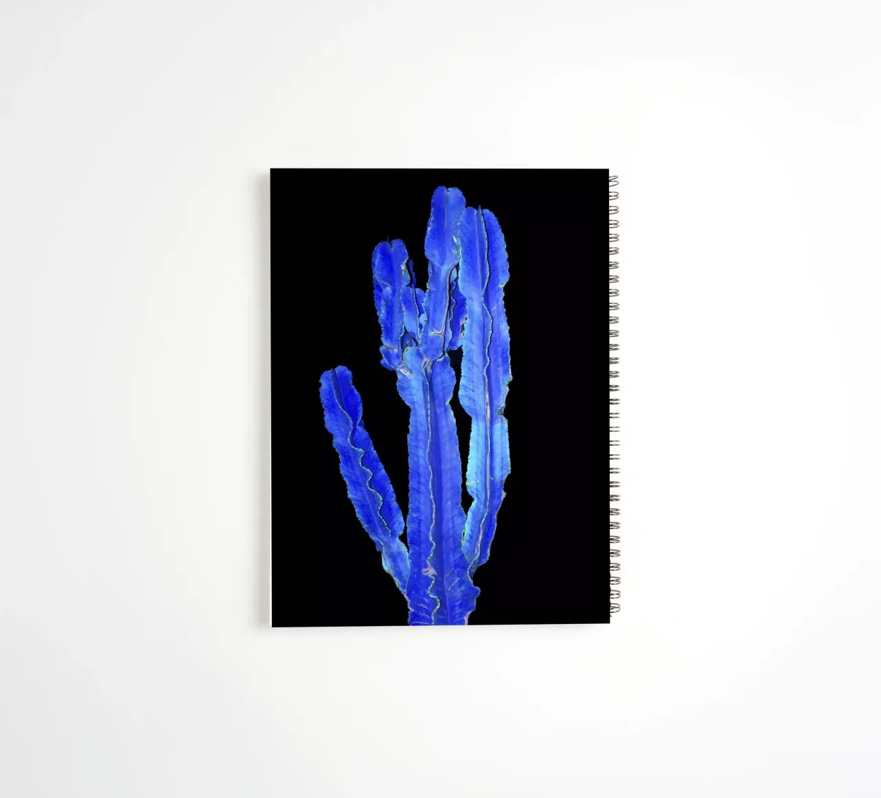 Kaktus 3 Ringbuch von rafael campezato