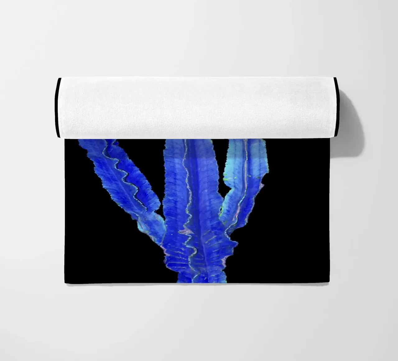 Cactus 3 telo mare da rafael campezato