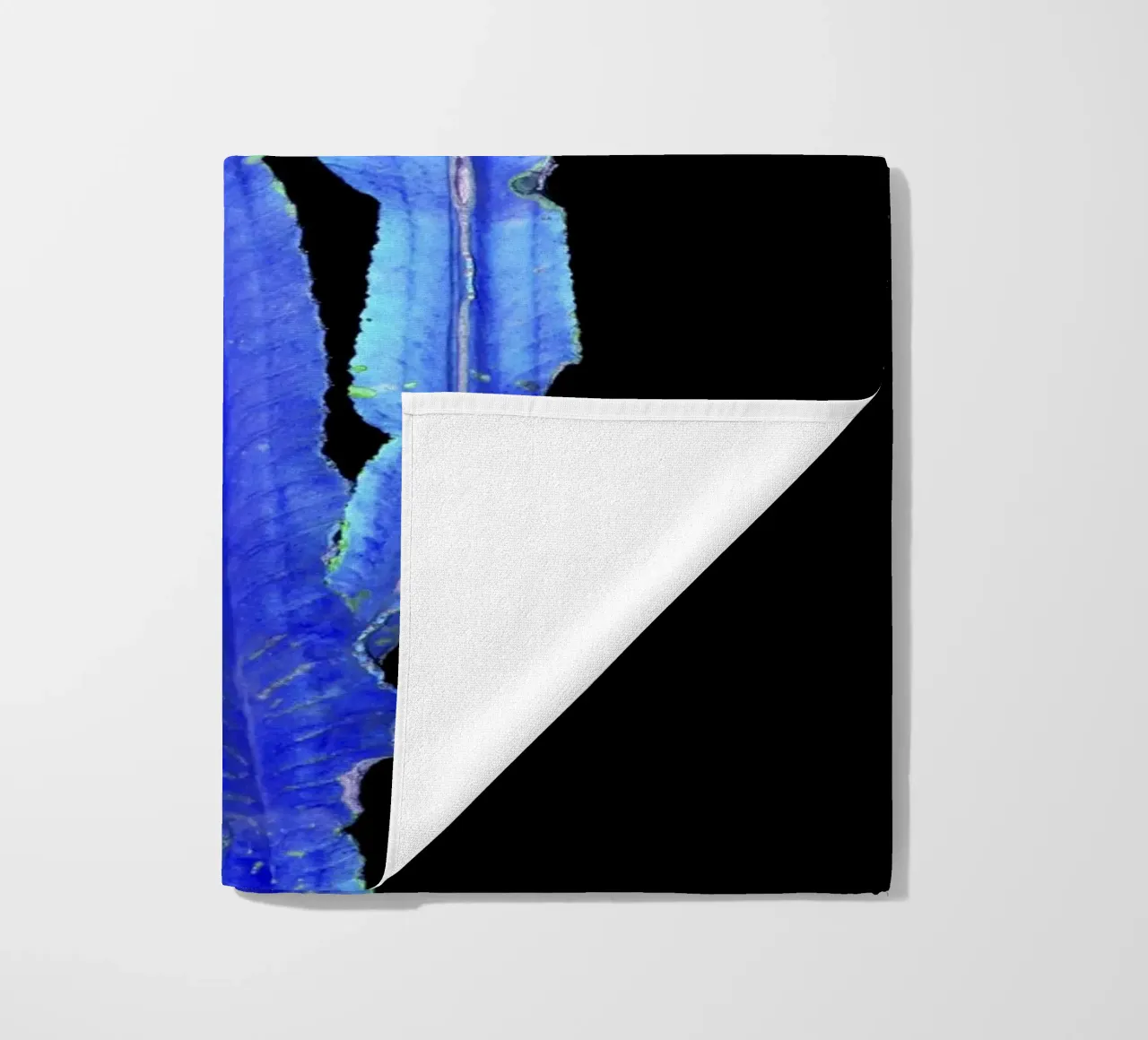 Cactus 3 telo mare da rafael campezato