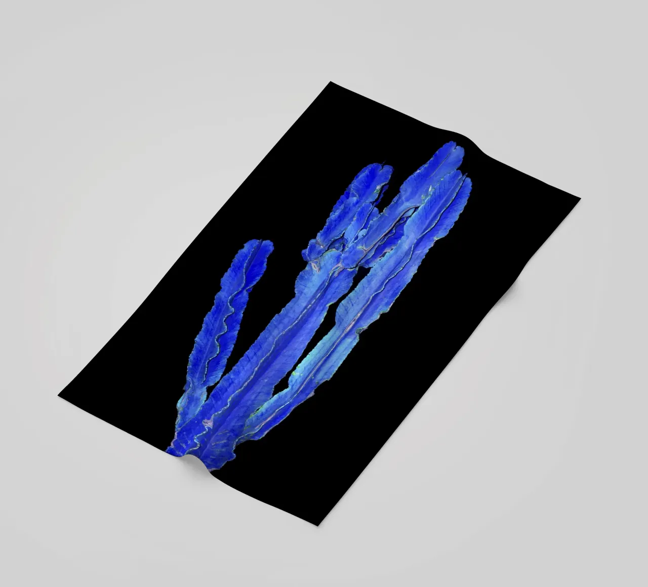 Cactus 3 telo mare da rafael campezato