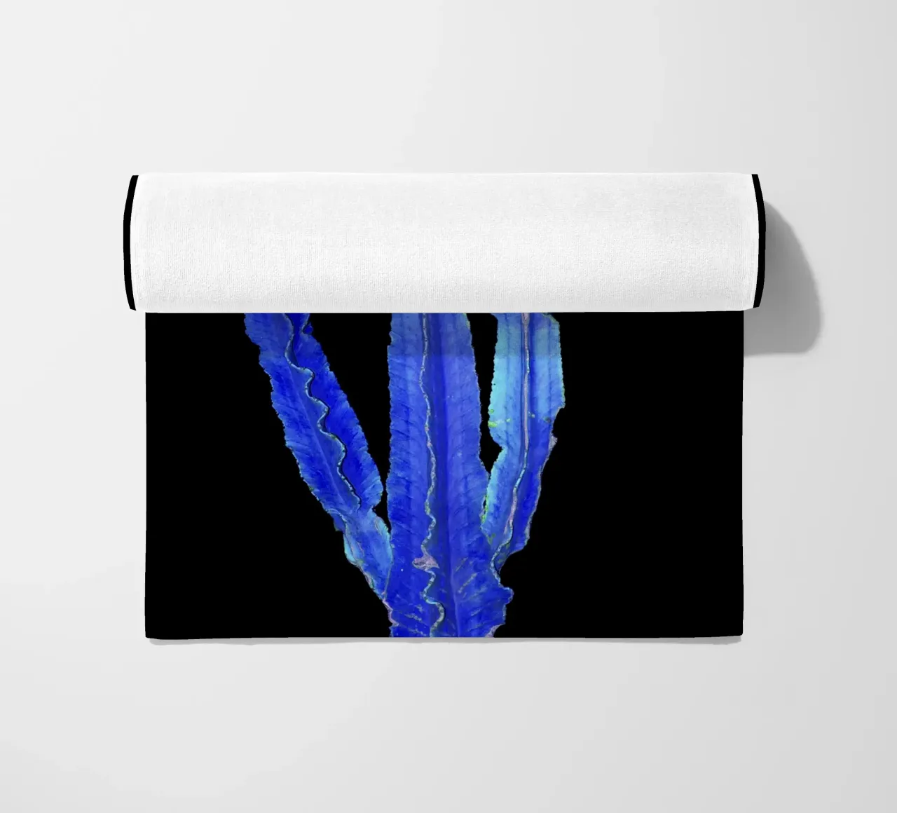 Cactus 3 telo mare da rafael campezato