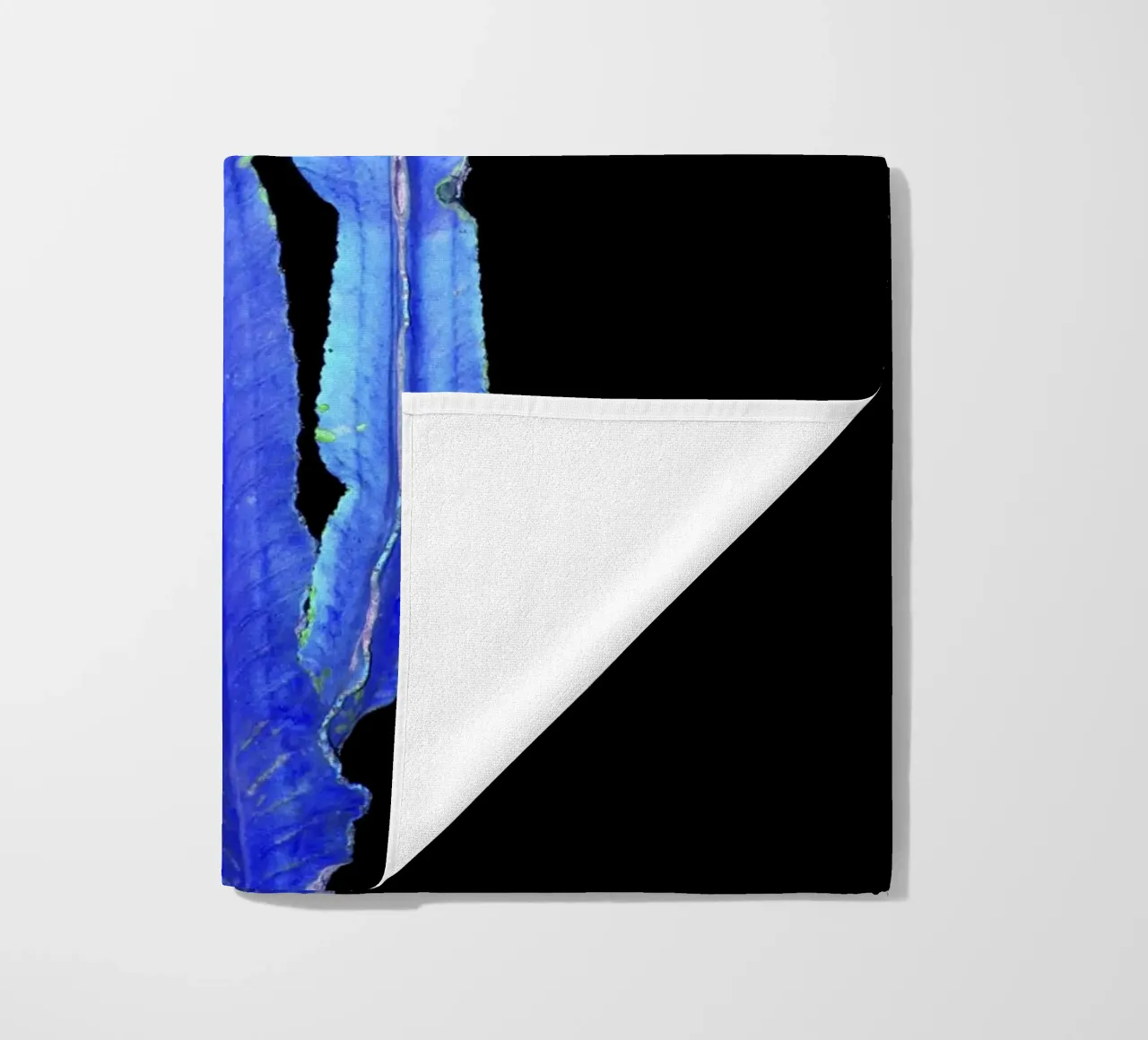 Cactus 3 telo mare da rafael campezato